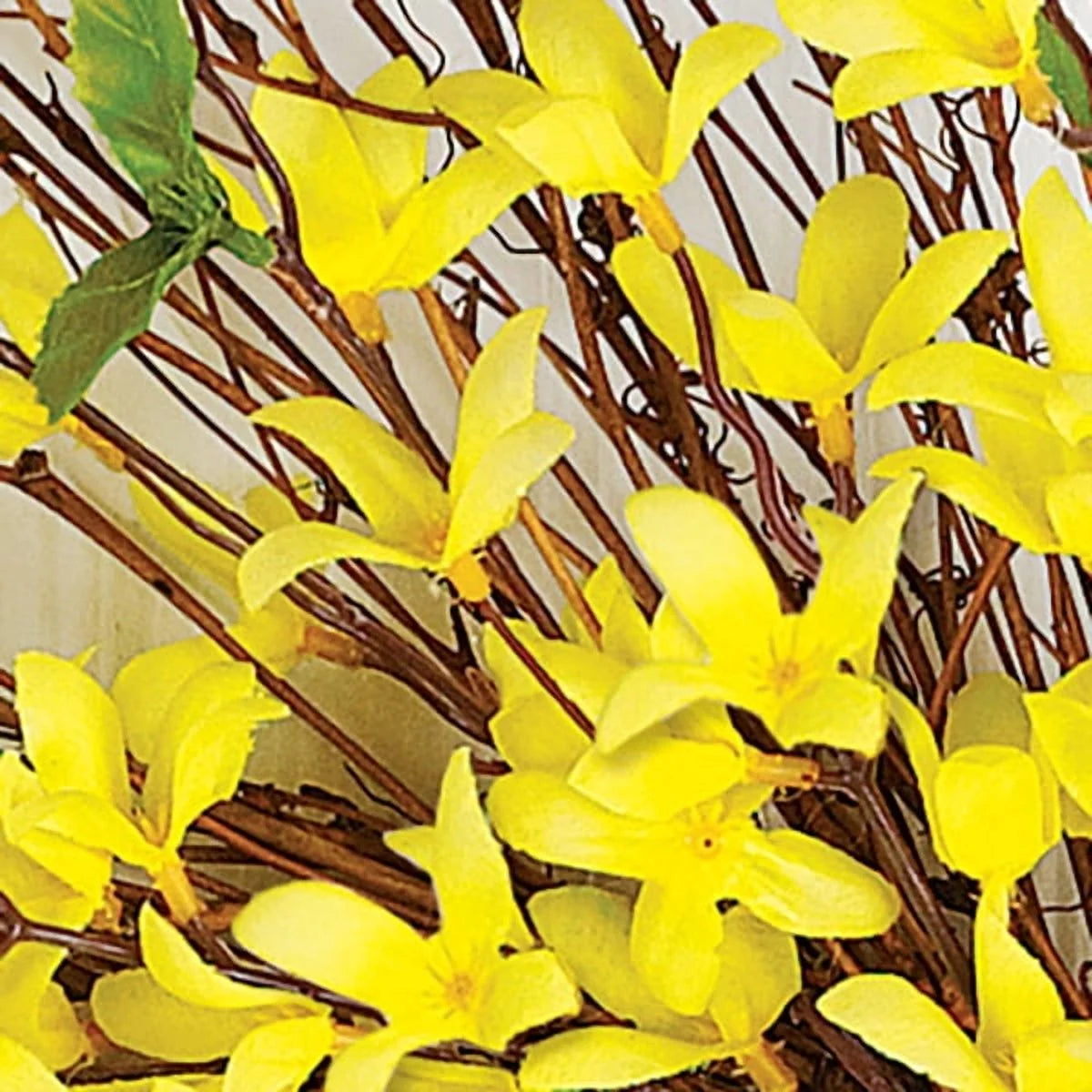 Forsythia & Twig Spring Door Wreath 