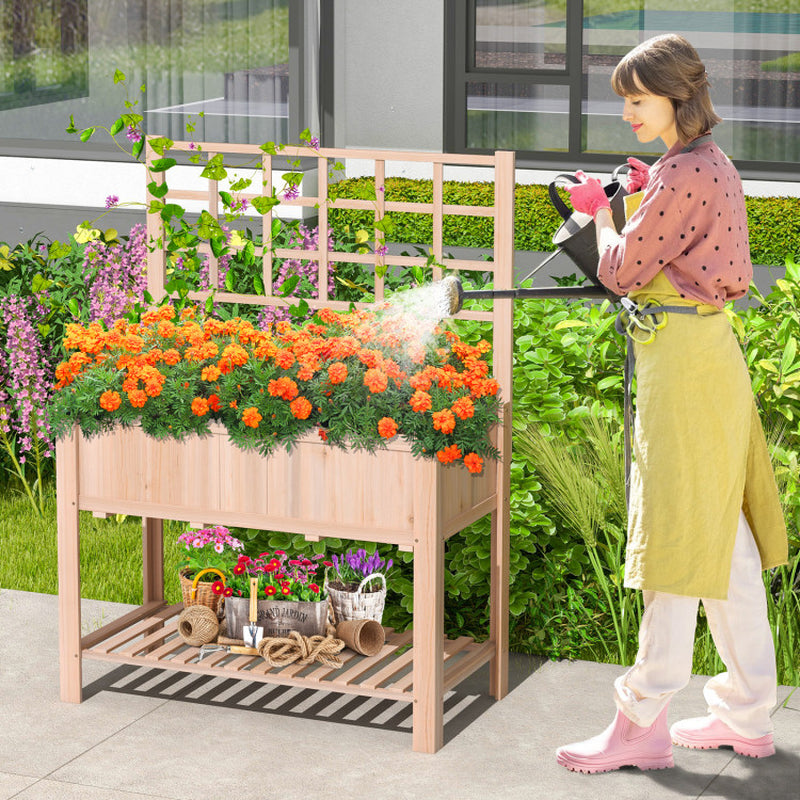Elevated Wooden Raised Garden Bed with Trellis
