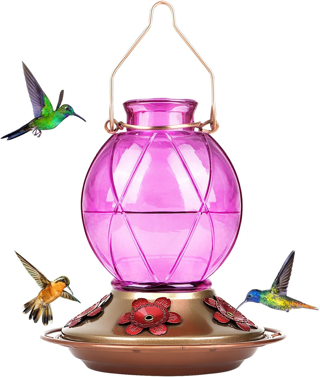 Glass Hummingbird Feeder 20 OZ