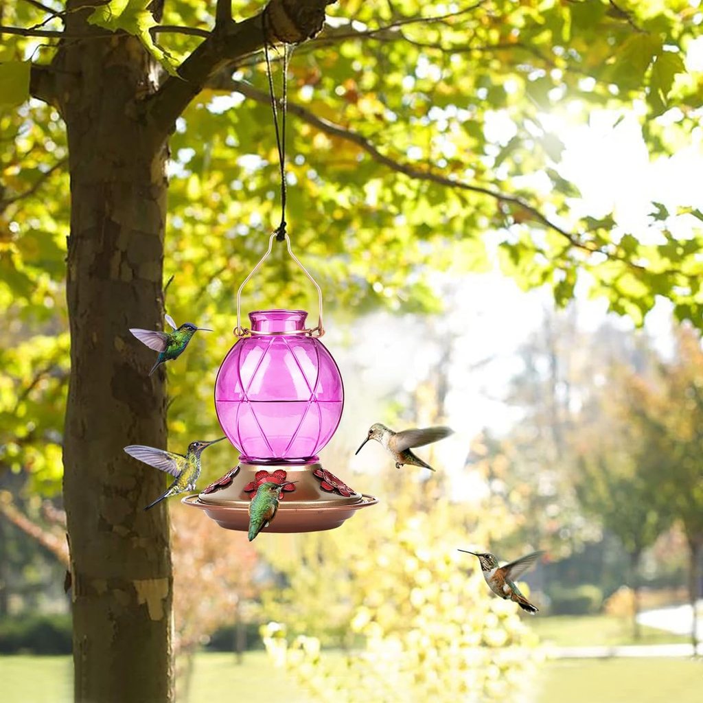Glass Hummingbird Feeder 20 OZ