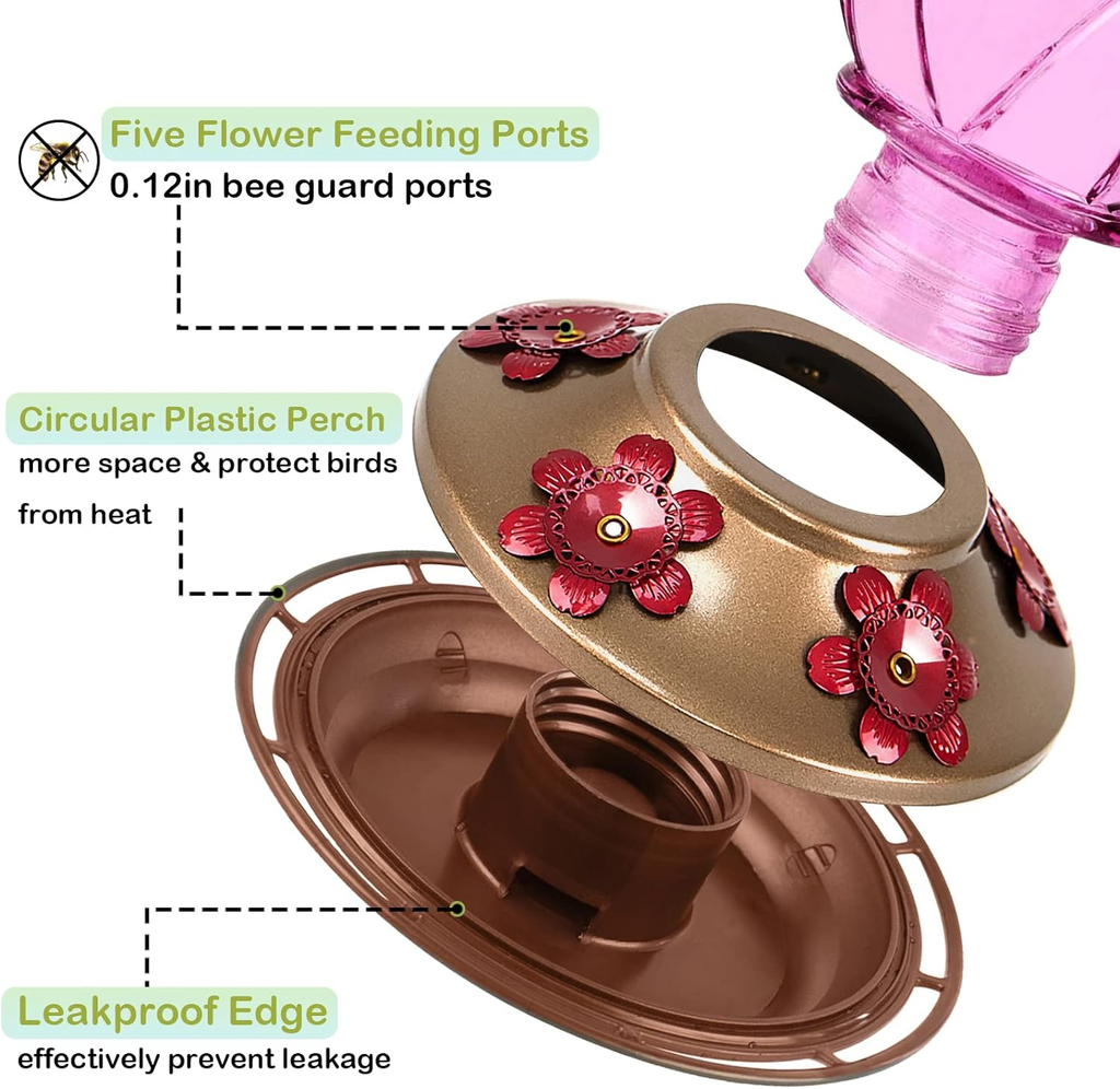 Glass Hummingbird Feeder 20 OZ