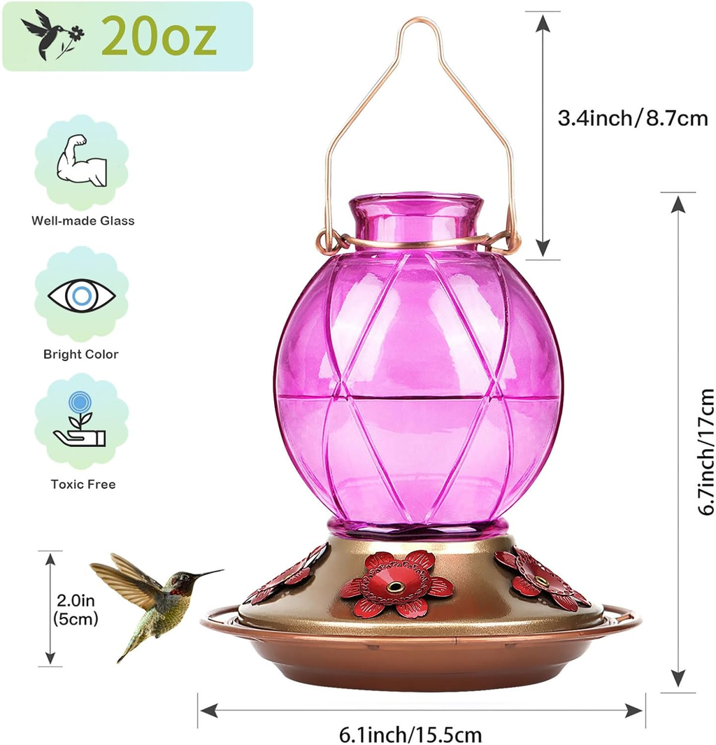 Glass Hummingbird Feeder 20 OZ