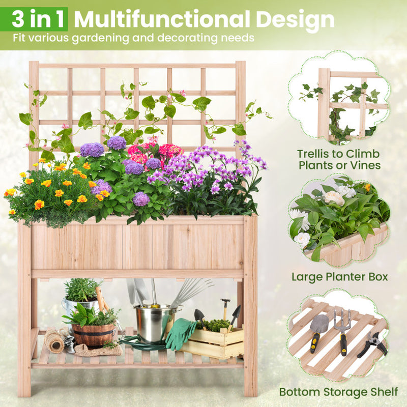 Elevated Wooden Raised Garden Bed with Trellis